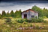 Lone Shed Under Looming Sky_20699